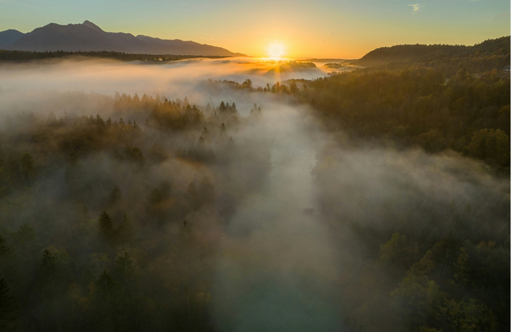 Plan with confidence: How investors gain forward-looking clarity